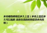 多肉植物修根后多久上盆（多肉上盆后多久可以施肥 選擇合適的時(shí)間促進(jìn)多肉發(fā)根）