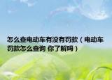 怎么查電動車有沒有罰款（電動車罰款怎么查詢 你了解嗎）