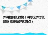 養(yǎng)雞如何長(zhǎng)得快（雞怎么養(yǎng)才長(zhǎng)得快 需要做好這四點(diǎn)）