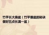 竹芋長(zhǎng)大換盆（竹芋爆盆的秘訣 做好五點(diǎn)長(zhǎng)滿一盆）