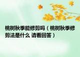 桃樹秋季能修剪嗎（桃樹秋季修剪法是什么 請(qǐng)看回答）