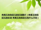 青海玉和和田玉的區(qū)別圖片（青海玉和和田玉的區(qū)別 青海玉和和田玉有什么不同）