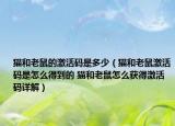 貓和老鼠的激活碼是多少（貓和老鼠激活碼是怎么得到的 貓和老鼠怎么獲得激活碼詳解）