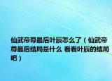 仙武帝尊最后葉辰怎么了（仙武帝尊最后結(jié)局是什么 看看葉辰的結(jié)局吧）