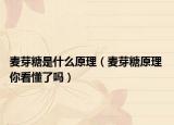 麥芽糖是什么原理（麥芽糖原理 你看懂了嗎）