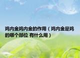 雞內(nèi)金雞內(nèi)金的作用（雞內(nèi)金是雞的哪個(gè)部位 有什么用）