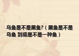 烏魚是不是黑魚?（黑魚是不是烏魚 到底是不是一種魚）