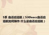 5系 自適應巡航（530leacc自適應巡航如何操作 什么是自適應巡航）