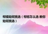 柑橘如何挑選（柑桔怎么選 教你如何挑選）