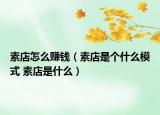 素店怎么賺錢（素店是個什么模式 素店是什么）