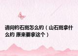 請(qǐng)問(wèn)釣石斑怎么釣（山石斑拿什么釣 原來(lái)要拿這個(gè)）