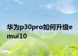 華為p30pro如何升級(jí)emui10