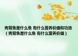 青背魚是什么魚 有什么營(yíng)養(yǎng)價(jià)值和功效（青背魚是什么魚 有什么營(yíng)養(yǎng)價(jià)值）