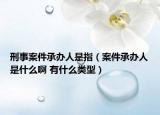 刑事案件承辦人是指（案件承辦人是什么啊 有什么類型）