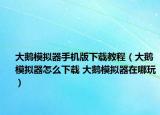 大鵝模擬器手機(jī)版下載教程（大鵝模擬器怎么下載 大鵝模擬器在哪玩）
