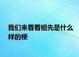 我們來看看祖先是什么樣的梗