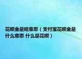 花唄金是啥意思（支付寶花唄金是什么意思 什么是花唄）