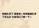 螃蟹扎手了 要緊嗎（吃螃蟹被扎手了怎么辦 大家可以了解一下）