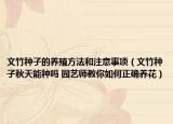 文竹種子的養(yǎng)殖方法和注意事項（文竹種子秋天能種嗎 園藝師教你如何正確養(yǎng)花）