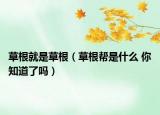草根就是草根（草根幫是什么 你知道了嗎）