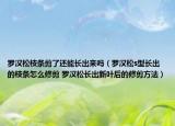 羅漢松枝條剪了還能長(zhǎng)出來嗎（羅漢松s型長(zhǎng)出的枝條怎么修剪 羅漢松長(zhǎng)出新葉后的修剪方法）