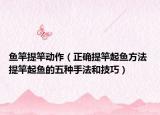 魚竿提竿動(dòng)作（正確提竿起魚方法 提竿起魚的五種手法和技巧）