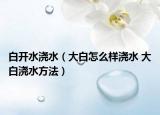 白開(kāi)水澆水（大白怎么樣澆水 大白澆水方法）