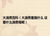大消費百科（大消費是指什么 這是什么消費觀呢）