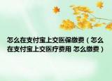 怎么在支付寶上交醫(yī)保繳費（怎么在支付寶上交醫(yī)療費用 怎么繳費）