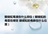 眼鏡蛇毒液在什么部位（眼鏡蛇的毒囊在哪里 眼鏡蛇的毒腺在什么位置）