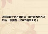 怎樣養(yǎng)哈士奇才會(huì)聽(tīng)話（哈士奇怎么養(yǎng)才聽(tīng)話 讓你擁有一只乖巧的哈士奇）