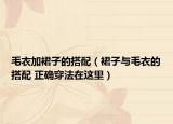 毛衣加裙子的搭配（裙子與毛衣的搭配 正確穿法在這里）