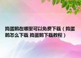 搗蛋鵝在哪里可以免費(fèi)下載（搗蛋鵝怎么下載 搗蛋鵝下載教程）