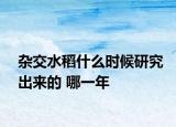 雜交水稻什么時候研究出來的 哪一年