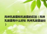 風(fēng)味乳酸菌和乳酸菌的區(qū)別（風(fēng)味乳酸菌有什么好處 風(fēng)味乳酸菌益處）