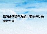 請問金匱腎氣丸的主要治療功效是什么呀