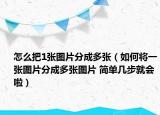 怎么把1張圖片分成多張（如何將一張圖片分成多張圖片 簡(jiǎn)單幾步就會(huì)啦）