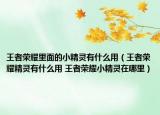 王者榮耀里面的小精靈有什么用（王者榮耀精靈有什么用 王者榮耀小精靈在哪里）