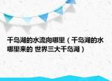 千島湖的水流向哪里（千島湖的水哪里來的 世界三大千島湖）