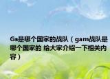 Gs是哪個國家的戰(zhàn)隊（gam戰(zhàn)隊是哪個國家的 給大家介紹一下相關(guān)內(nèi)容）