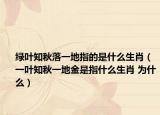 綠葉知秋落一地指的是什么生肖（一葉知秋一地金是指什么生肖 為什么）