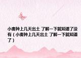 小麥種上幾天出土 了解一下就知道了沒有（小麥種上幾天出土 了解一下就知道了）