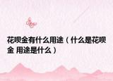 花唄金有什么用途（什么是花唄金 用途是什么）