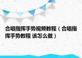 合唱指揮手勢視頻教程（合唱指揮手勢教程 該怎么做）