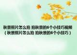 秋景照片怎么拍 拍秋景的6個小技巧視頻（秋景照片怎么拍 拍秋景的6個小技巧）