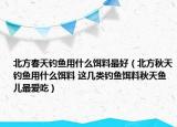 北方春天釣魚用什么餌料最好（北方秋天釣魚用什么餌料 這幾類釣魚餌料秋天魚兒最愛(ài)吃）