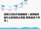 韭菜幾月份不能割越冬（韭菜越冬前什么時間停止釆割 原來是這個季節(jié)）