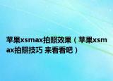 蘋果xsmax拍照效果（蘋果xsmax拍照技巧 來(lái)看看吧）