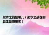 淝水之戰(zhàn)是哪兒（淝水之戰(zhàn)在哪 具體是哪里呢）