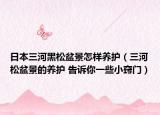 日本三河黑松盆景怎樣養(yǎng)護(hù)（三河松盆景的養(yǎng)護(hù) 告訴你一些小竅門）